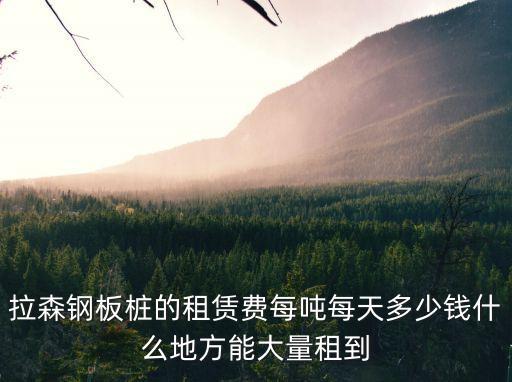 上海市鋼板樁出租，拉森鋼板樁一天的租費是多少