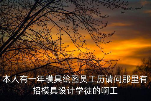 本人有一年模具繪圖員工歷請(qǐng)問(wèn)那里有招模具設(shè)計(jì)學(xué)徒的啊工