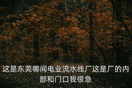 這是東莞哪間電業(yè)流水線廠這是廠的內(nèi)部和門口我很急