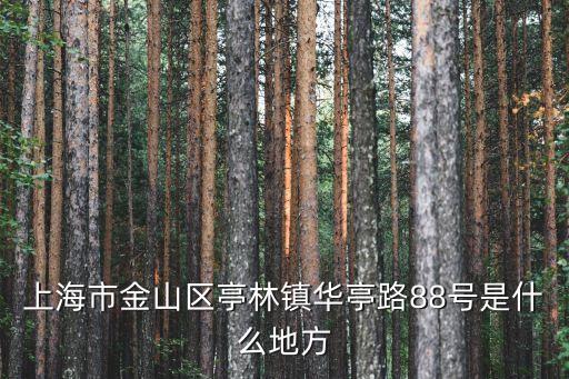 上海市金山區亭林鎮華亭路88號是什么地方