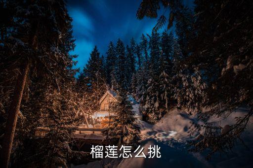 榴蓮怎么挑選，榴蓮怎么挑