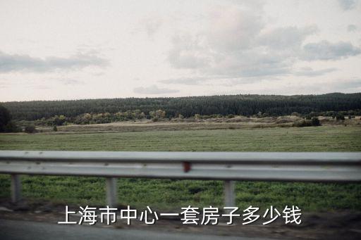 上海市有五萬一平的房子嗎，一個月工資5萬多在上海能買一套什么樣的房