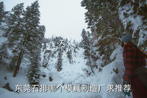 東莞石排沙角村瑞祥廠，東莞石排第一家港資企業是那一家阿有沒有人了解