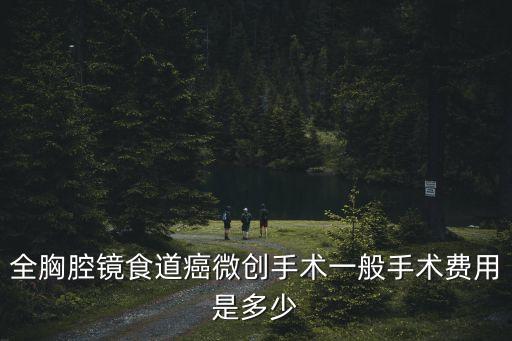 全胸腔鏡食道癌微創手術一般手術費用是多少