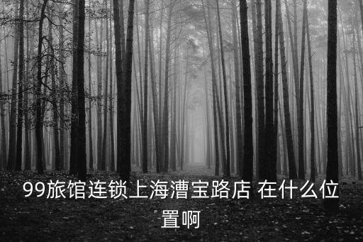上海市老盛昌湯包漕寶店，99旅館連鎖上海漕寶路店 在什么位置啊