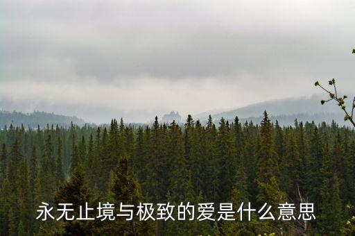 永無(wú)止境與極致的愛(ài)是什么意思