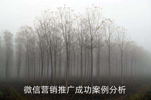 微信營銷推廣成功案例分析
