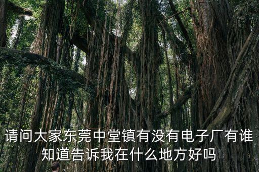 請問大家東莞中堂鎮有沒有電子廠有誰知道告訴我在什么地方好嗎