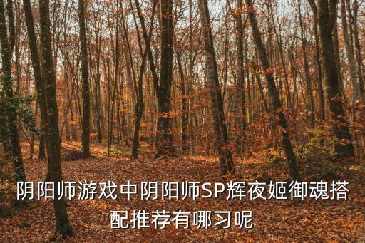 輝夜姬御魂搭配，陰陽師輝夜姬御魂配什么 輝夜姬最佳御魂搭配推薦