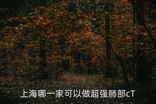 上海哪一家可以做超強肺部cT