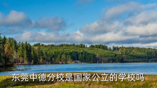 東莞中德分校是國家公立的學校嗎