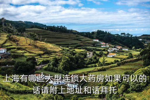 上海市新康大藥房，上海哪里有 金象大藥房