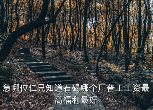急哪位仁兄知道石碣哪個廠普工工資最高福利最好