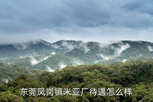 東莞鳳崗鎮米亞廠待遇怎么樣