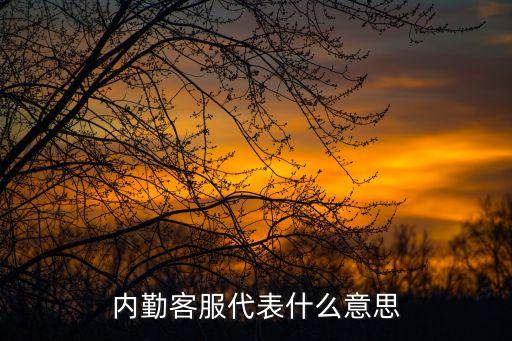 內勤客服代表什么意思