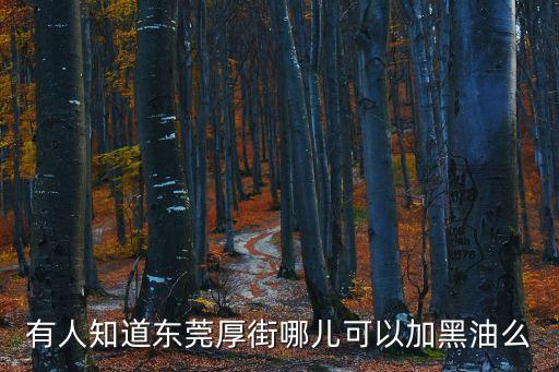 有人知道東莞厚街哪兒可以加黑油么