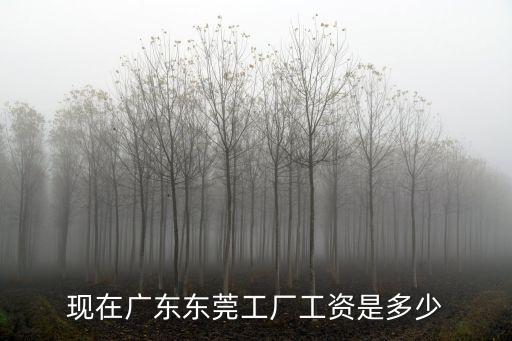 現(xiàn)在廣東東莞工廠工資是多少