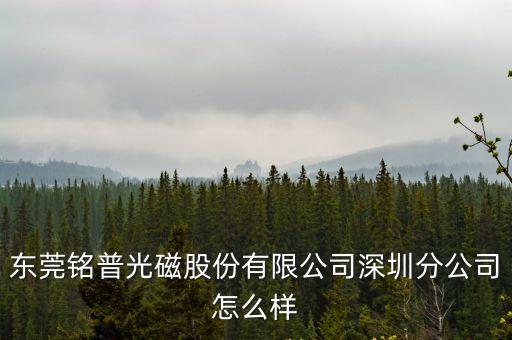 東莞銘普光磁股份有限公司深圳分公司怎么樣