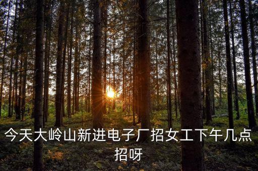 今天大嶺山新進電子廠招女工下午幾點招呀