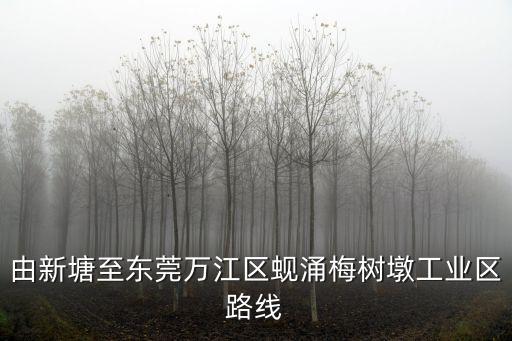 贛深高鐵東莞支線圖，開車從南昌出發到東莞深圳和中山應該怎么制定線路圖