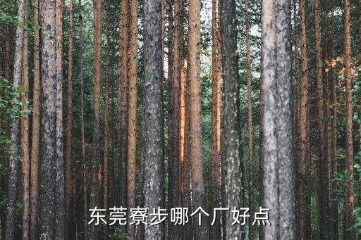 東莞寮步哪個廠好點