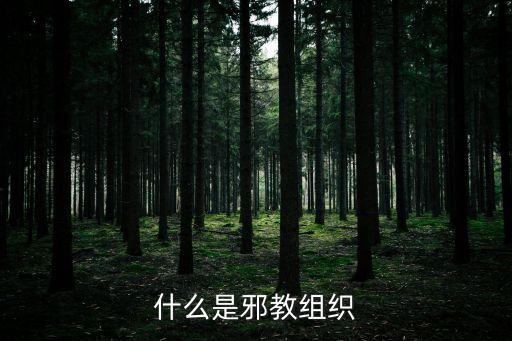 邪教組織，什么是邪教組織