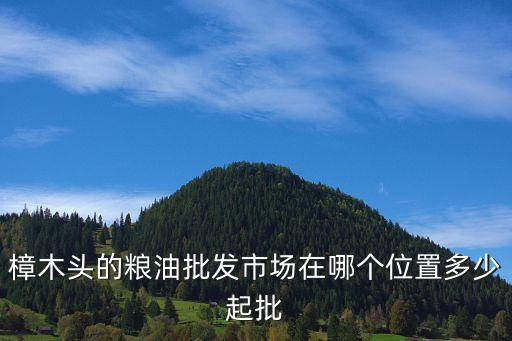 東莞樟木頭95汽油批發(fā)，樟木頭有沒(méi)有糧油批發(fā)市場(chǎng)