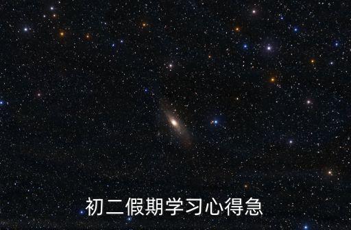 初二假期學(xué)習(xí)心得急
