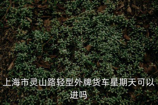 上海市靈山路幾點限行，上海內環外地車限行時間 usanwennet
