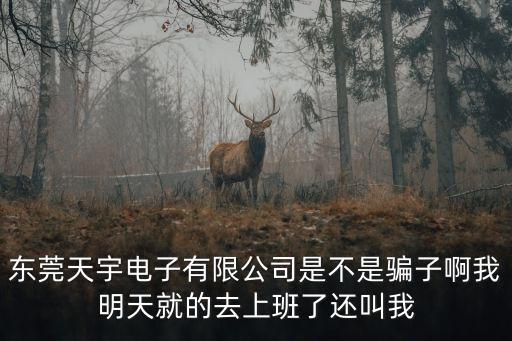 東莞天宇電子有限公司是不是騙子啊我明天就的去上班了還叫我