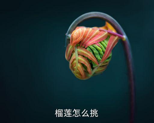 榴蓮怎么挑