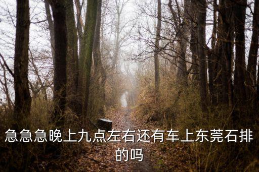 急急急晚上九點左右還有車上東莞石排的嗎