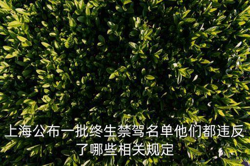 上海市超速名單，滬嘉高速區間測速哪段