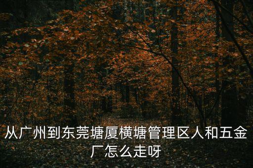從廣州到東莞塘廈橫塘管理區人和五金廠怎么走呀