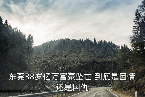 東莞安達自動化老板，東莞38歲億萬富豪墜亡 到底是因情還是因仇