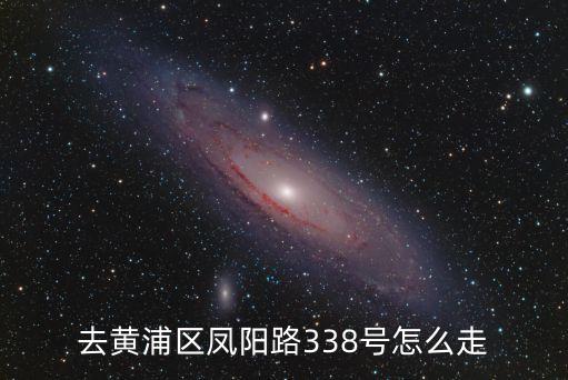 上海市鳳陽路街景，向公館原型是哪個