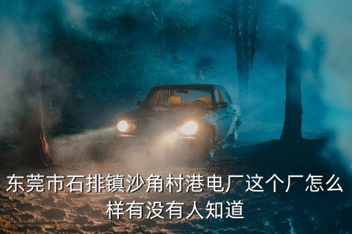 東莞石排港電廠怎么樣，東莞石排有沒有好一點的電子廠