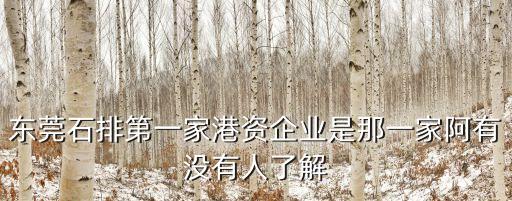 東莞石排港電廠，東莞石排愴威電子廠現在底薪是多少啊