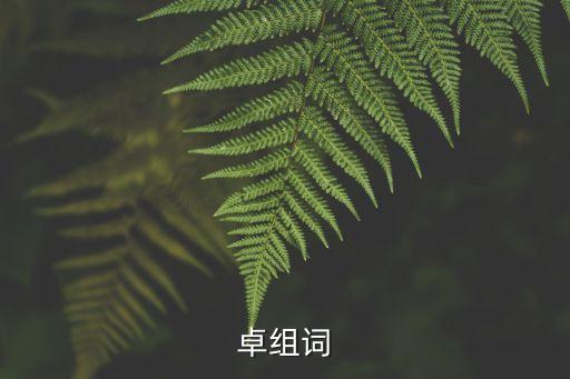 卓組詞