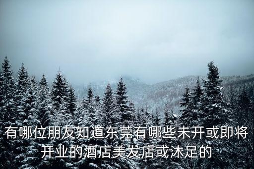 有哪位朋友知道東莞有哪些未開或即將開業(yè)的酒店美發(fā)店或沐足的