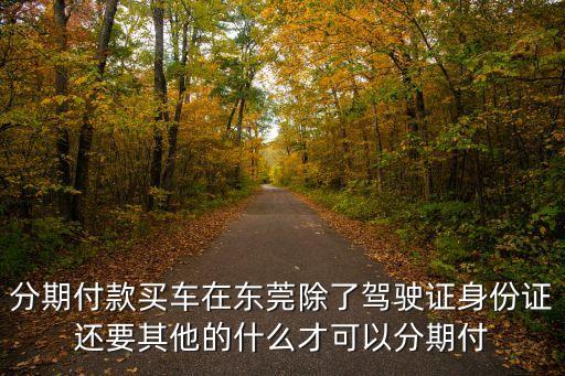 分期付款買車在東莞除了駕駛證身份證還要其他的什么才可以分期付