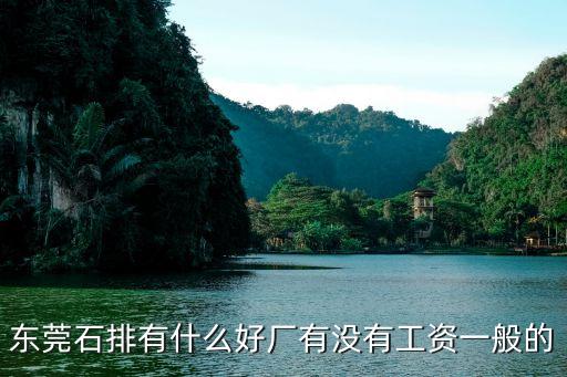 東莞石排工資高嗎，東莞石排有什么工資高好廠