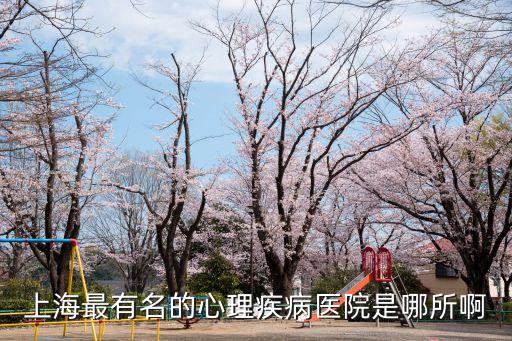 上海最有名的心理疾病醫(yī)院是哪所啊