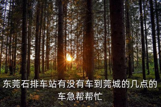 東莞石排車站有沒有車到莞城的幾點的車急幫幫忙
