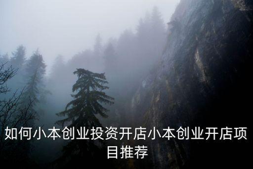 小生意創業項目，做小生意有什么項目呢