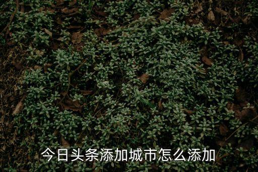 今日頭條添加城市怎么添加
