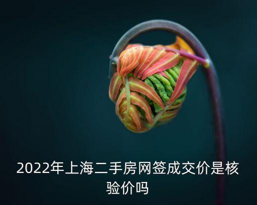 上海市計(jì)稅核驗(yàn)價(jià)，上海涉稅核驗(yàn)價(jià)審核時(shí)間