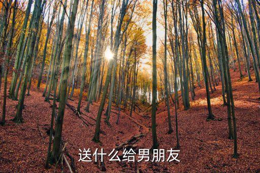 送男朋友的禮物，送什么給男朋友
