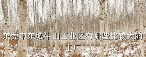 東莞牛山有什么電子廠，東莞市東城牛山工業(yè)區(qū)有哪些比較大的工廠