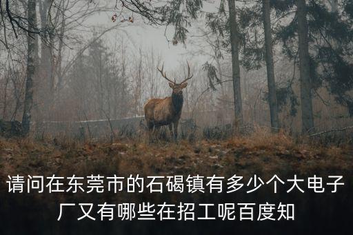 請(qǐng)問(wèn)在東莞市的石碣鎮(zhèn)有多少個(gè)大電子廠又有哪些在招工呢百度知